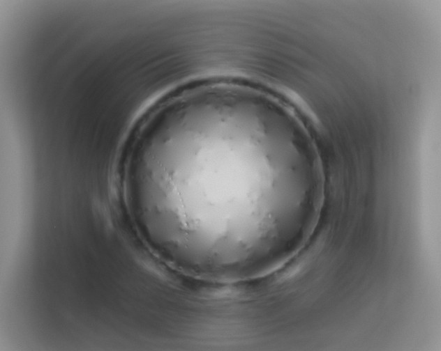 X0000113530879200909250904