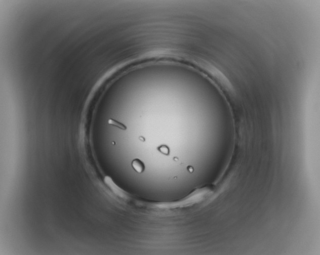 X0000113530880200909250904