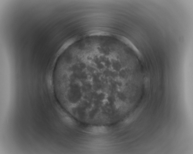 X0000113530882200909250904