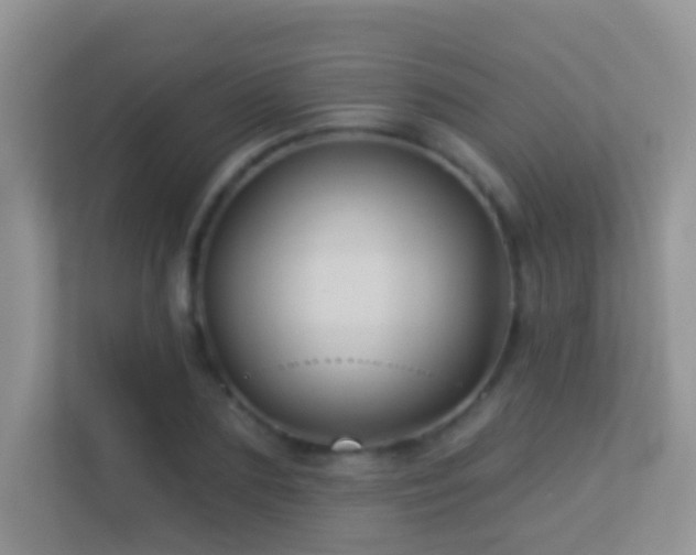 X0000113530883200909250904