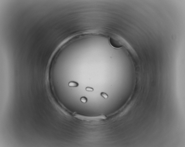 X0000113530884200909250904