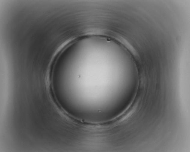 X0000113530885200909250904