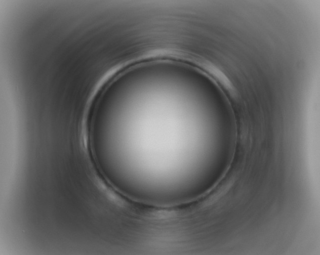 X0000113530888200909250903