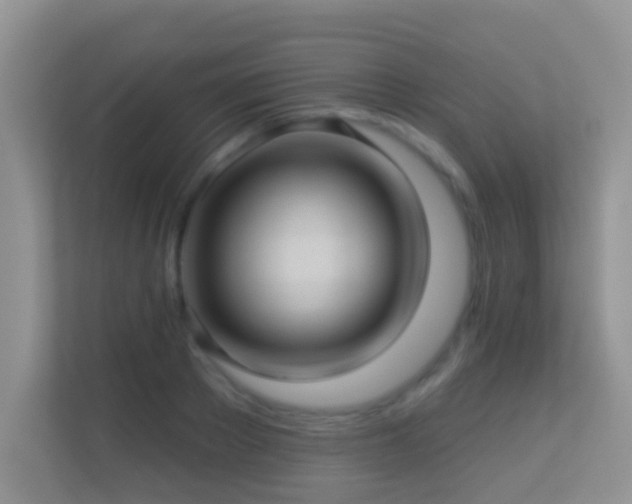 X0000113530889200909250903