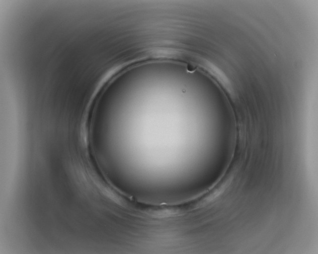 X0000113530891200909250903