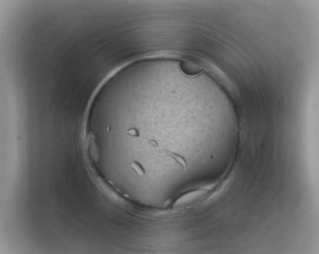 X0000113530892200909250903