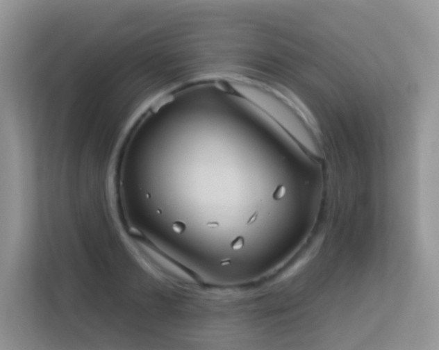 X0000113530893200909250903