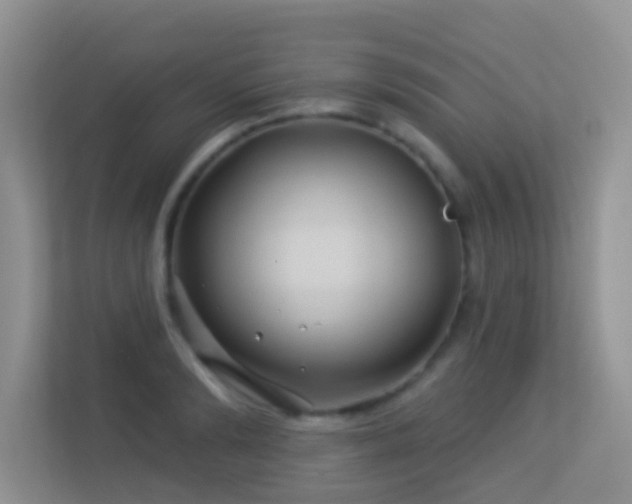 X0000113530894200909250903