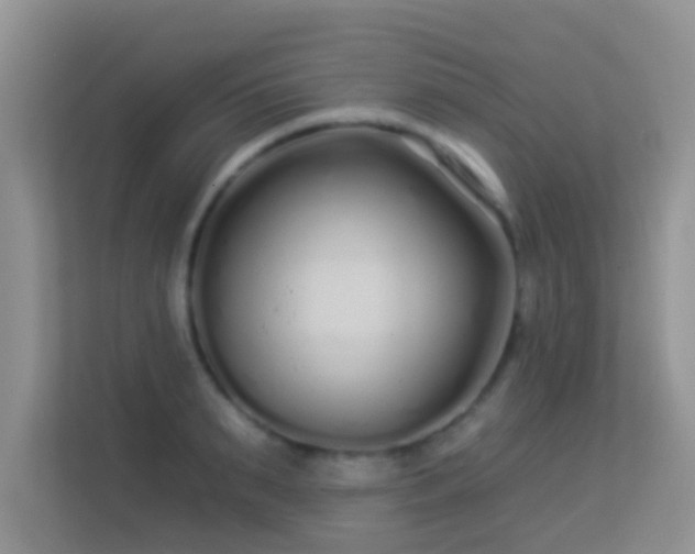 X0000113530895200909250903