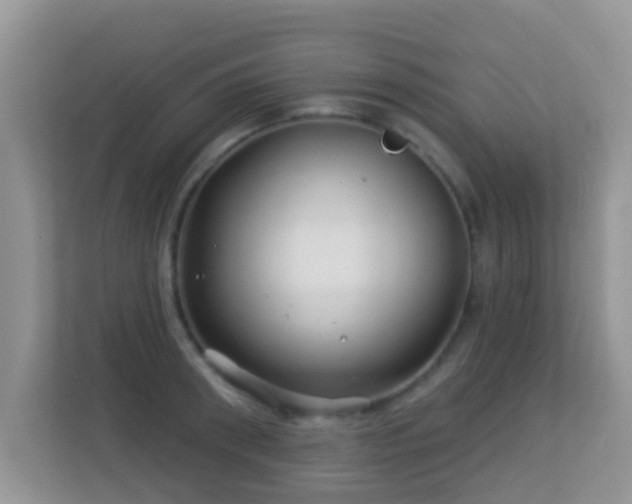 X0000113530898200909250903