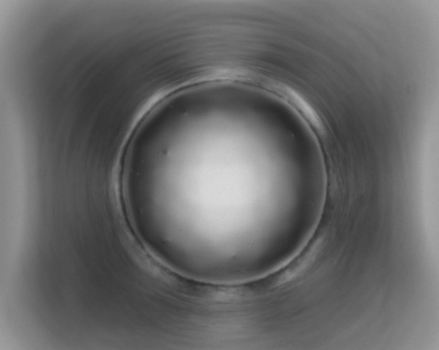 X0000113530899200909250903