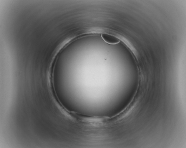 X0000113530901200909250903