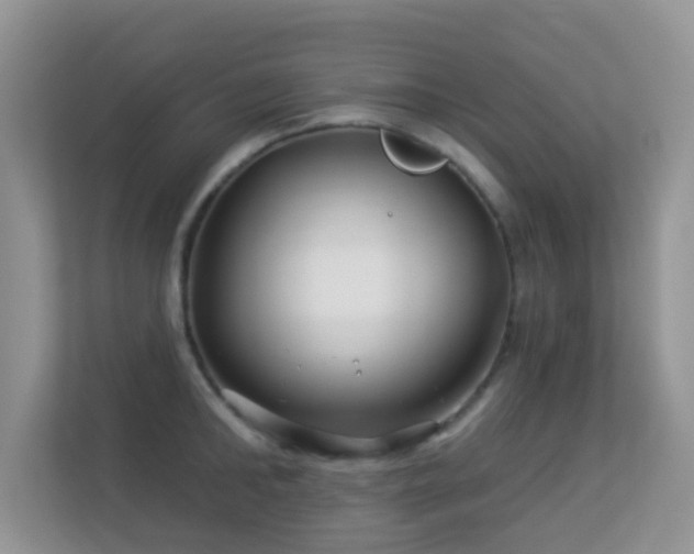 X0000113530902200909250903