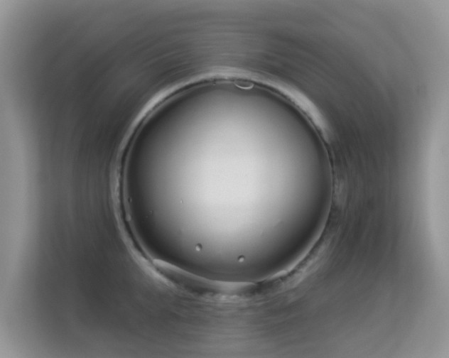 X0000113530903200909250903