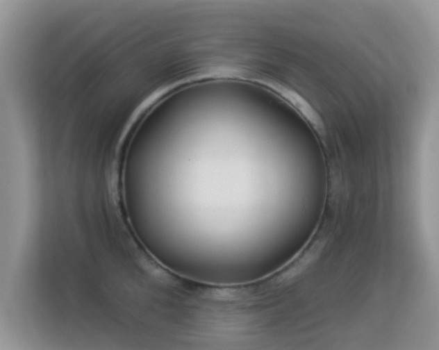 X0000113530904200909250903