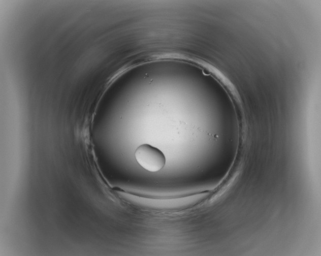 X0000113530905200909250903