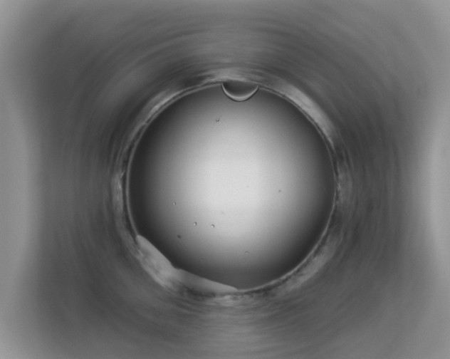 X0000113530906200909250903