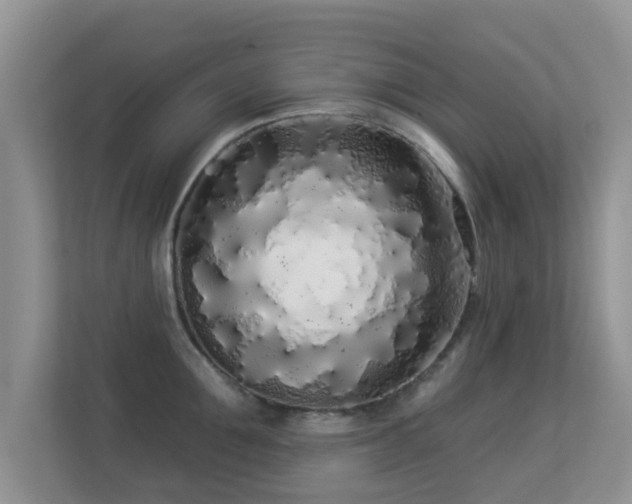 X0000113530907200909250903