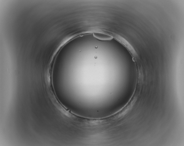 X0000113530908200909250903