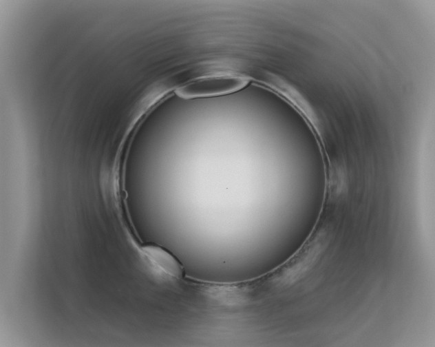 X0000113530909200909250903