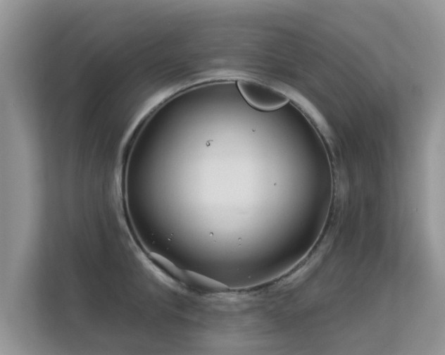 X0000113530910200909250903