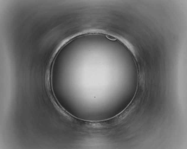 X0000113530911200909250903