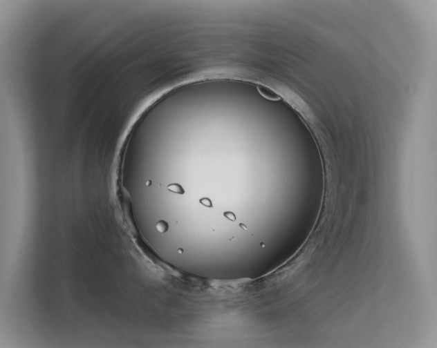 X0000113530912200909250903