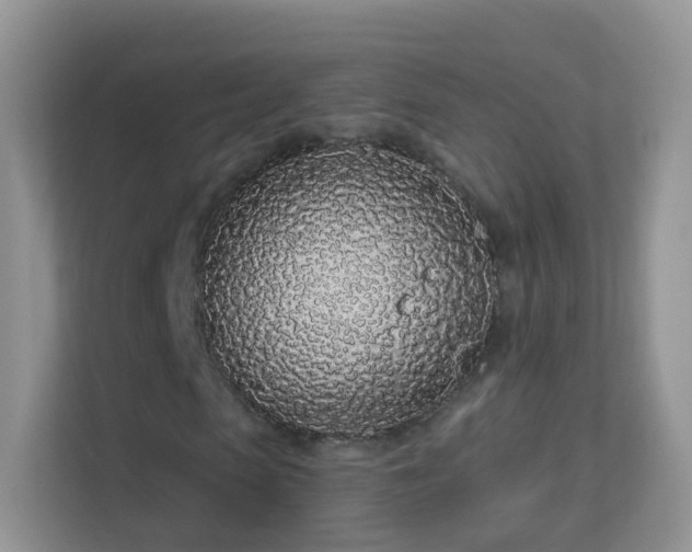 X0000113530913200909250903