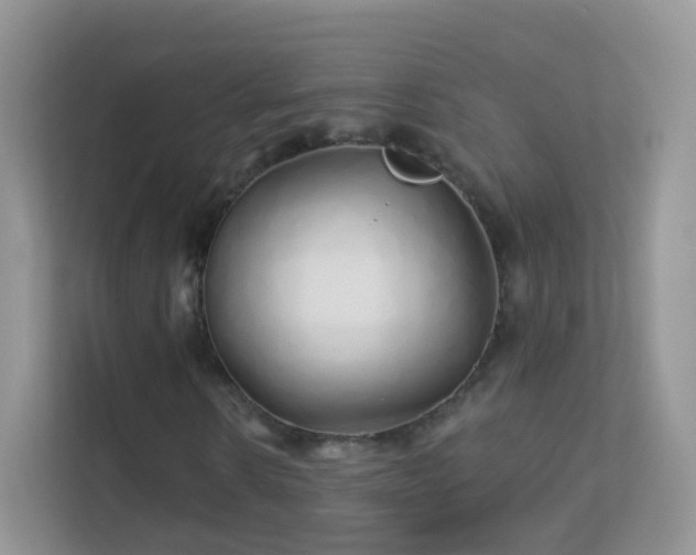 X0000113530914200909250903