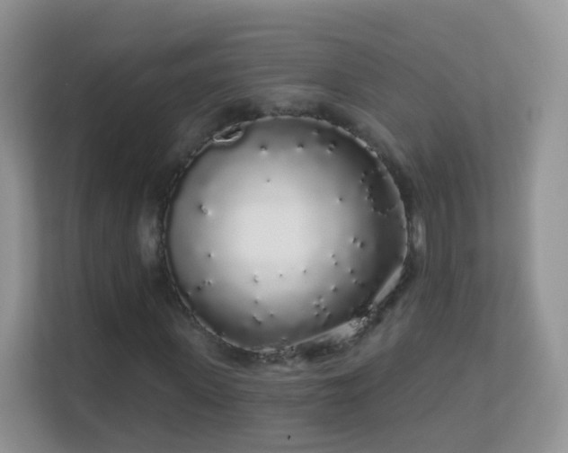 X0000113530915200909250903