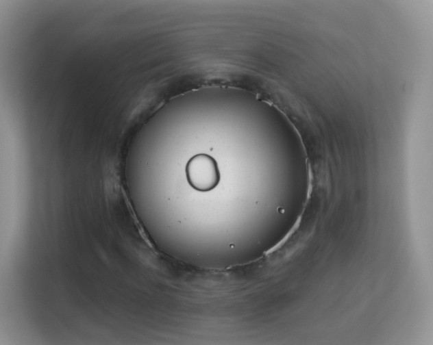 X0000113530916200909250903