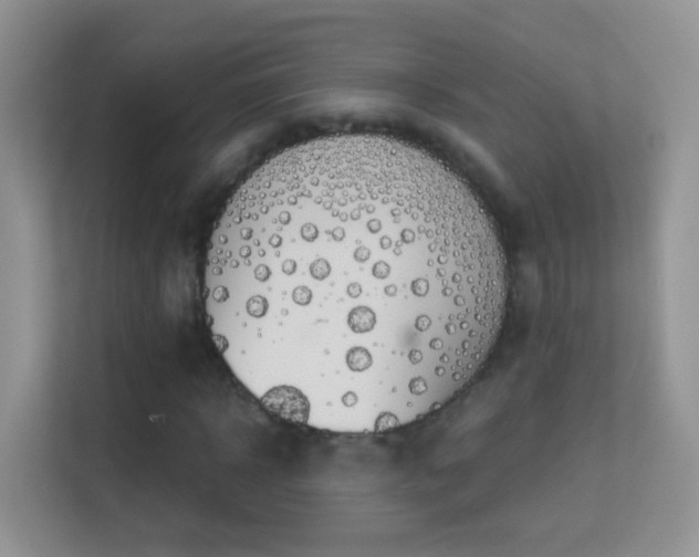 X0000113530918200909250903