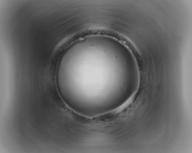 X0000113530919200909250903