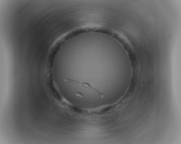 X0000113530920200909250903