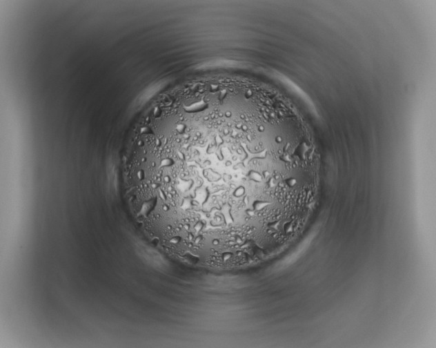 X0000113530921200909250903