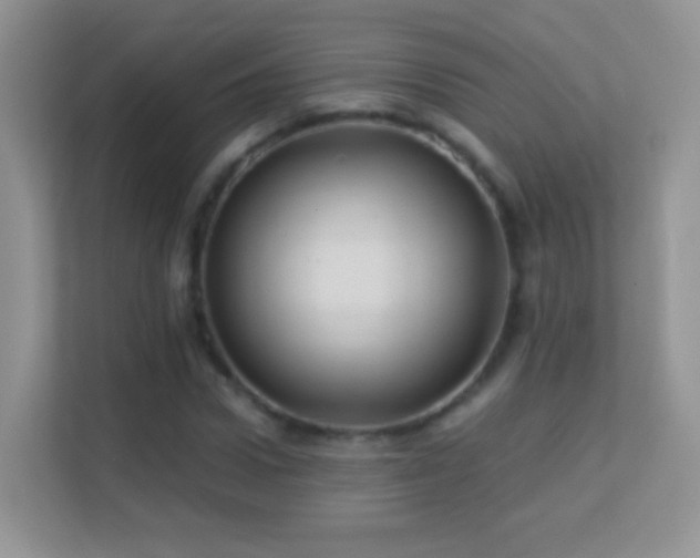 X0000113530922200909250903