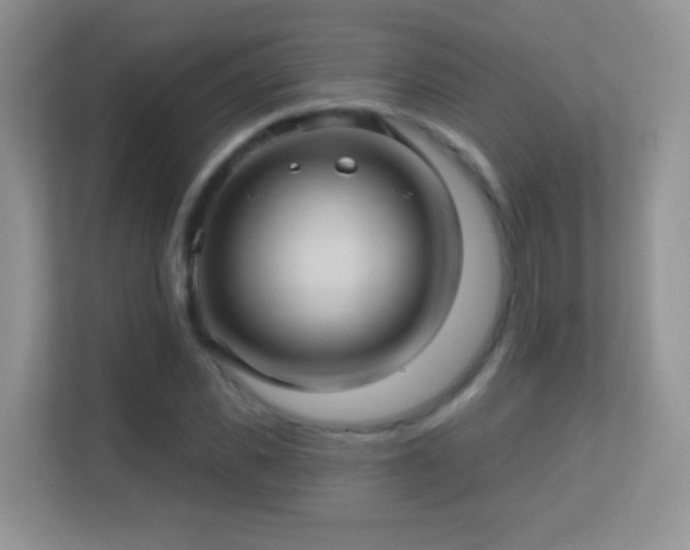 X0000113530925200909250903