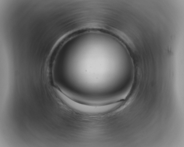 X0000113530926200909250903