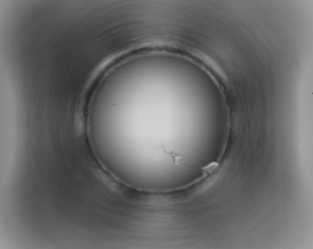 X0000113530927200909250903