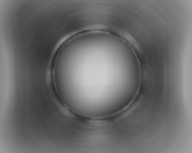 X0000113530928200909250903