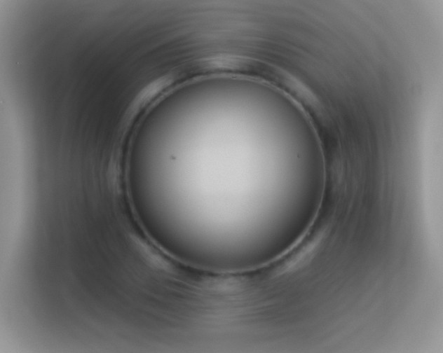 X0000113530930200909250903