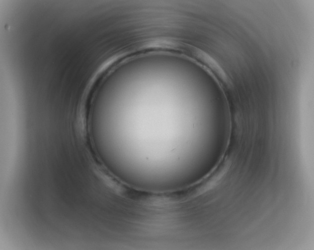 X0000113530931200909250903