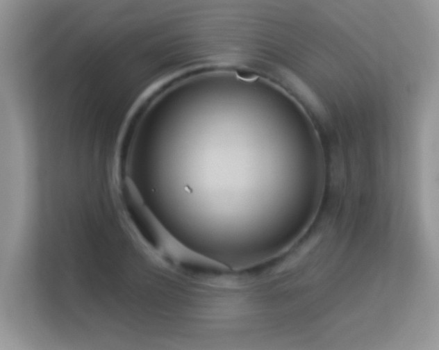 X0000113530932200909250903