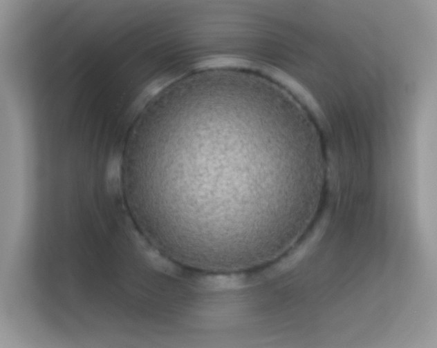 X0000113530937200909250903