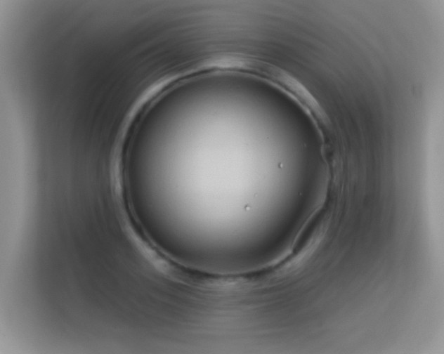 X0000113530939200909250903