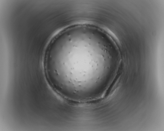 X0000113530943200909250903