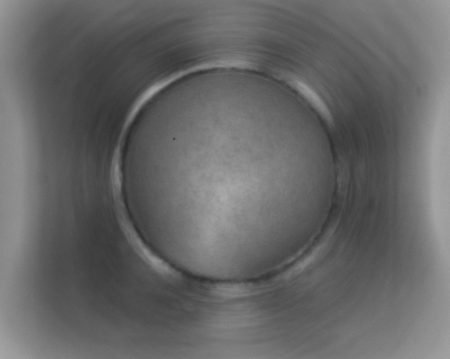 X0000113530944200909250903