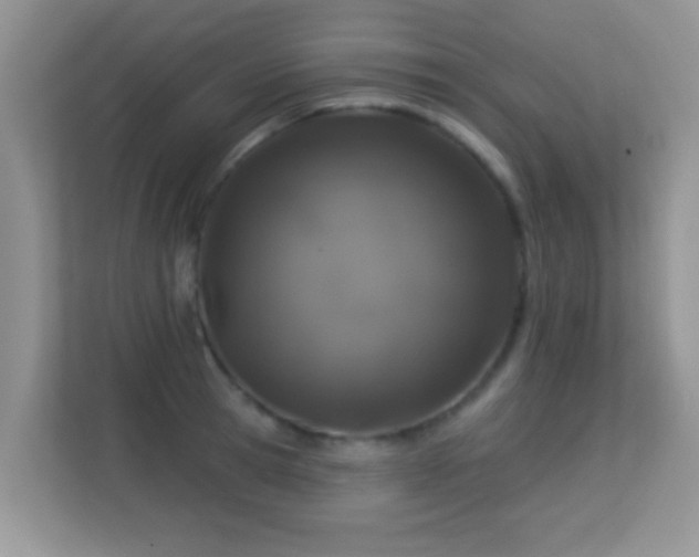 X0000113530945200909250903