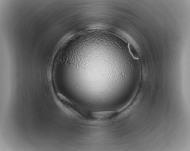 X0000113530946200909250903