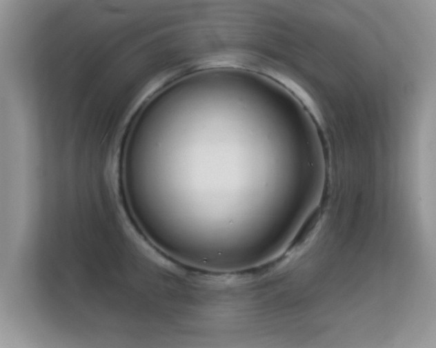 X0000113530949200909250903